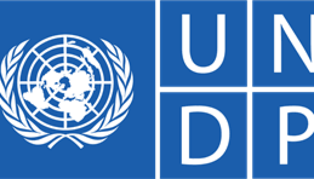 undp Project Lead and Sustainable Finance Specialist Vacancy-Job Ref: WJSLUNDP/0206/202621